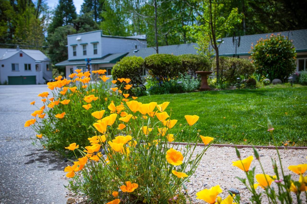 Outside Inn Nevada City Dış mekan fotoğraf